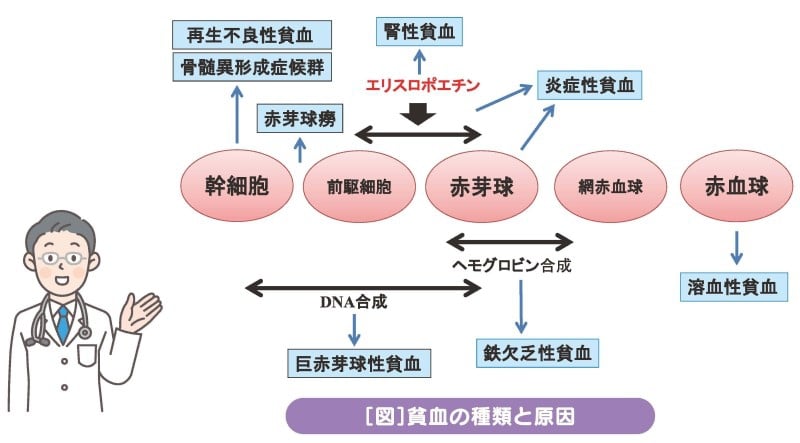 あいのり桃 デニム